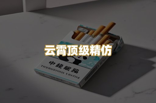 云霄顶级精仿